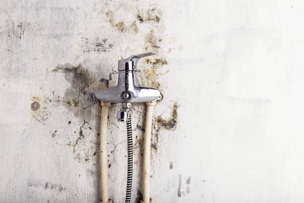 Battle Ground, WA Mold Removal Company