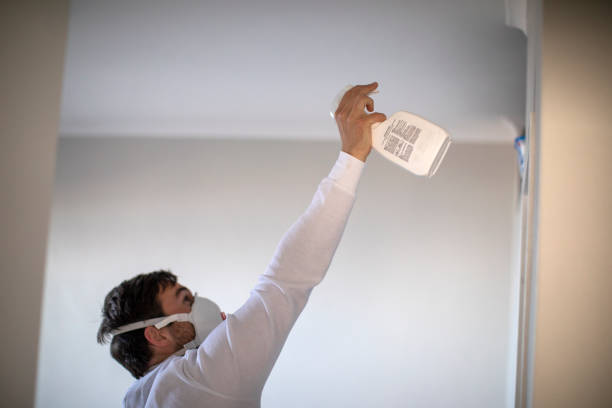 Best Emergency Mold Removal  in Battle Ground, WA