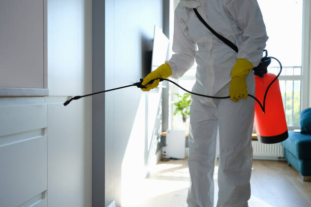 Best Mold Removal Near Me  in Battle Ground, WA