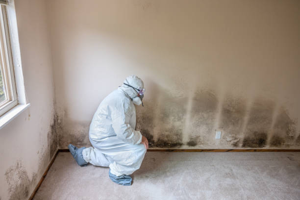 Best Crawl Space Mold Removal  in Battle Ground, WA